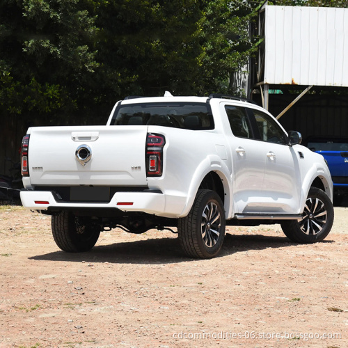 Новый автомобиль Changcheng Great Wall Poer EV Грузовик бензин Китай Производитель электрический спортивный автомобиль